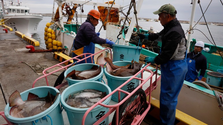 Около Фукусимы выловили радиоактивную рыбу
