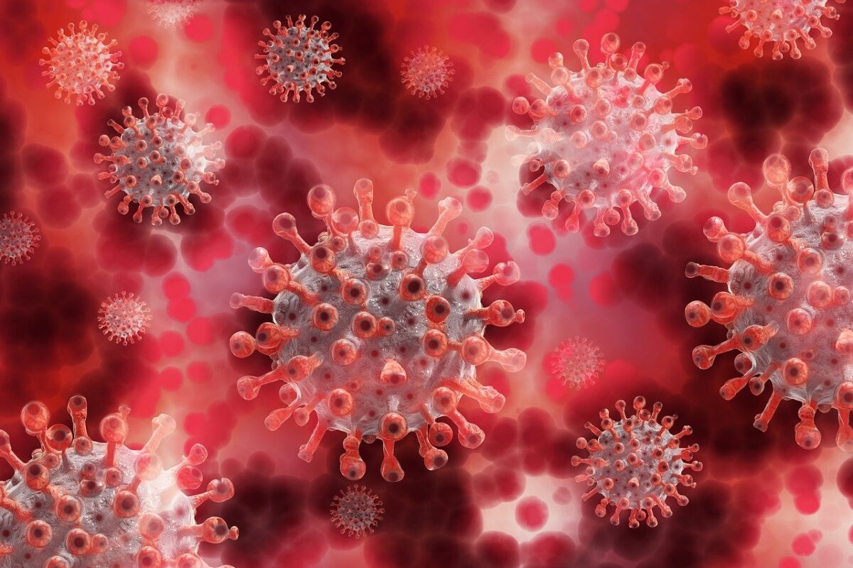 Число заражений коронавирусом снизилось на 19% — ВОЗ