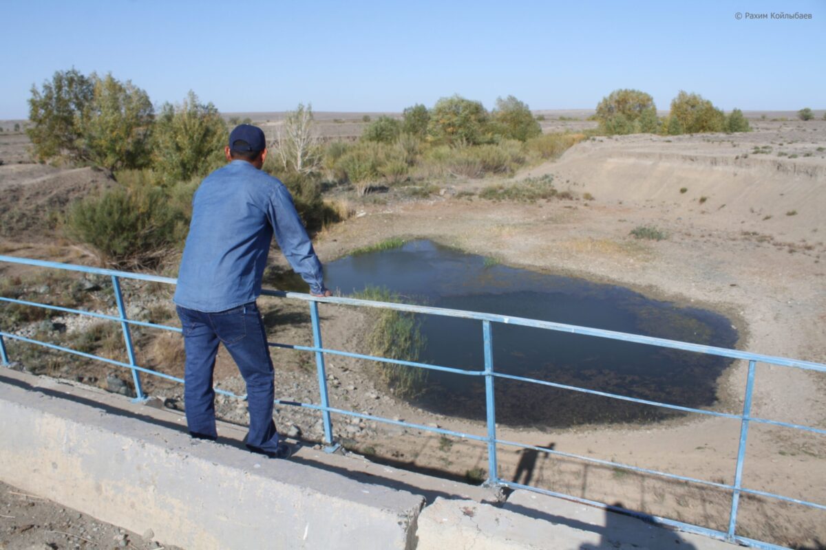 Река в Атырауской области находится на грани экологической катастрофы