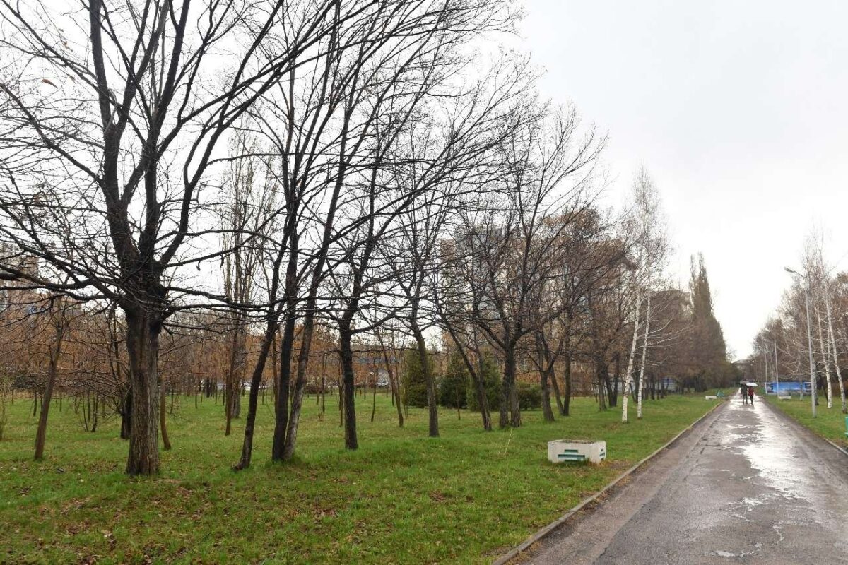 Объявление о продаже участка парка "Южный" в Алматы возмутило горожан