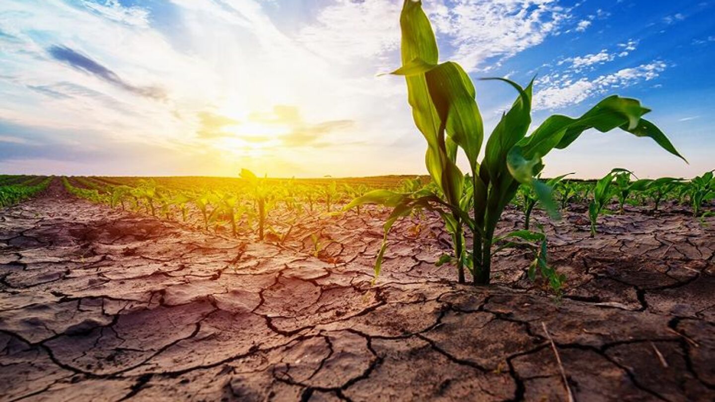 Четырем регионам грозит засуха в мае