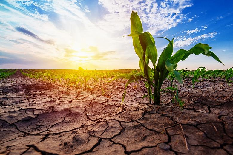 Четырем регионам грозит засуха в мае