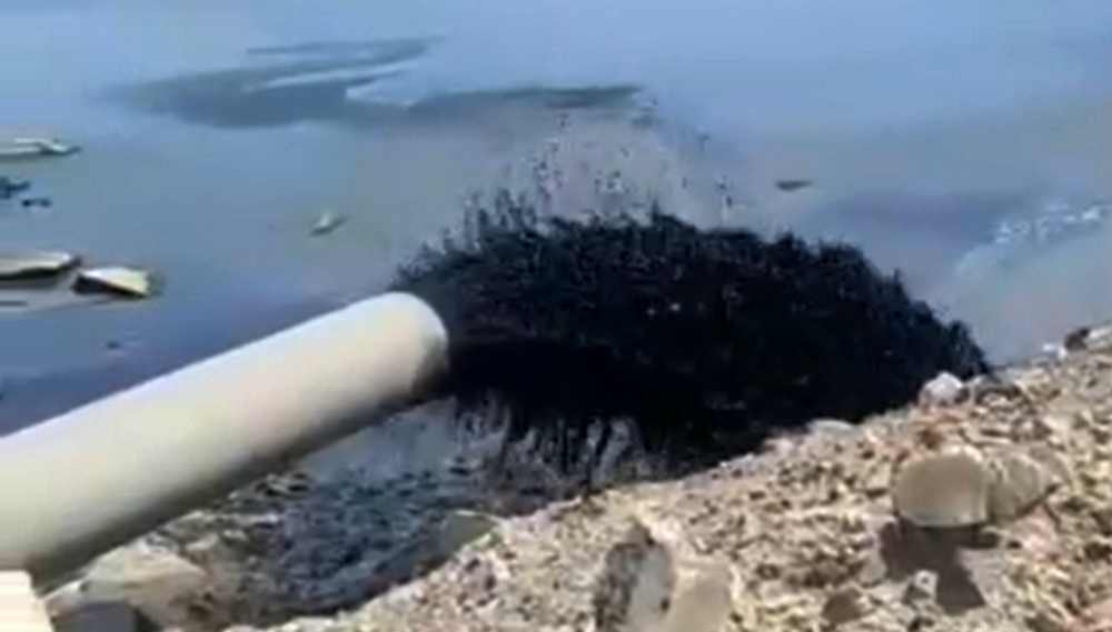 Экологи: Чёрная жижа в Каспии - морская вода