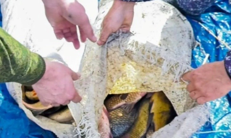 Свыше двух тонн рыбы изъяли у браконьеров в ВКО