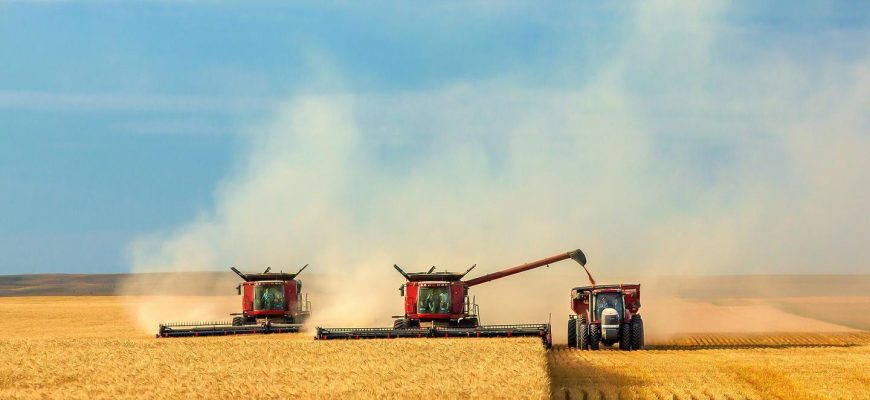 Россия хочет запретить странам ЕАЭС экспортировать зерно — Казахстан против