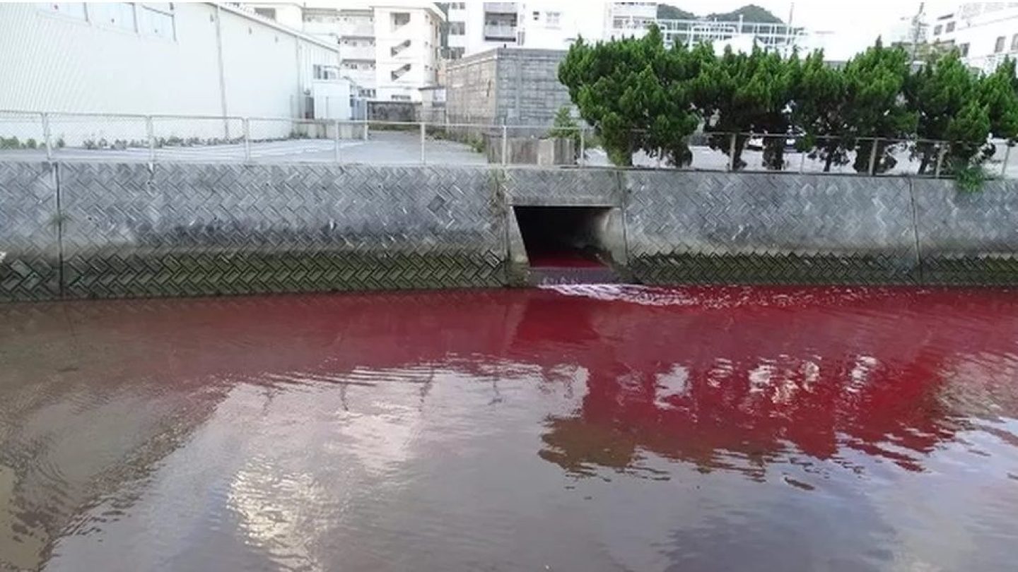 Загрязнение воды в Японии